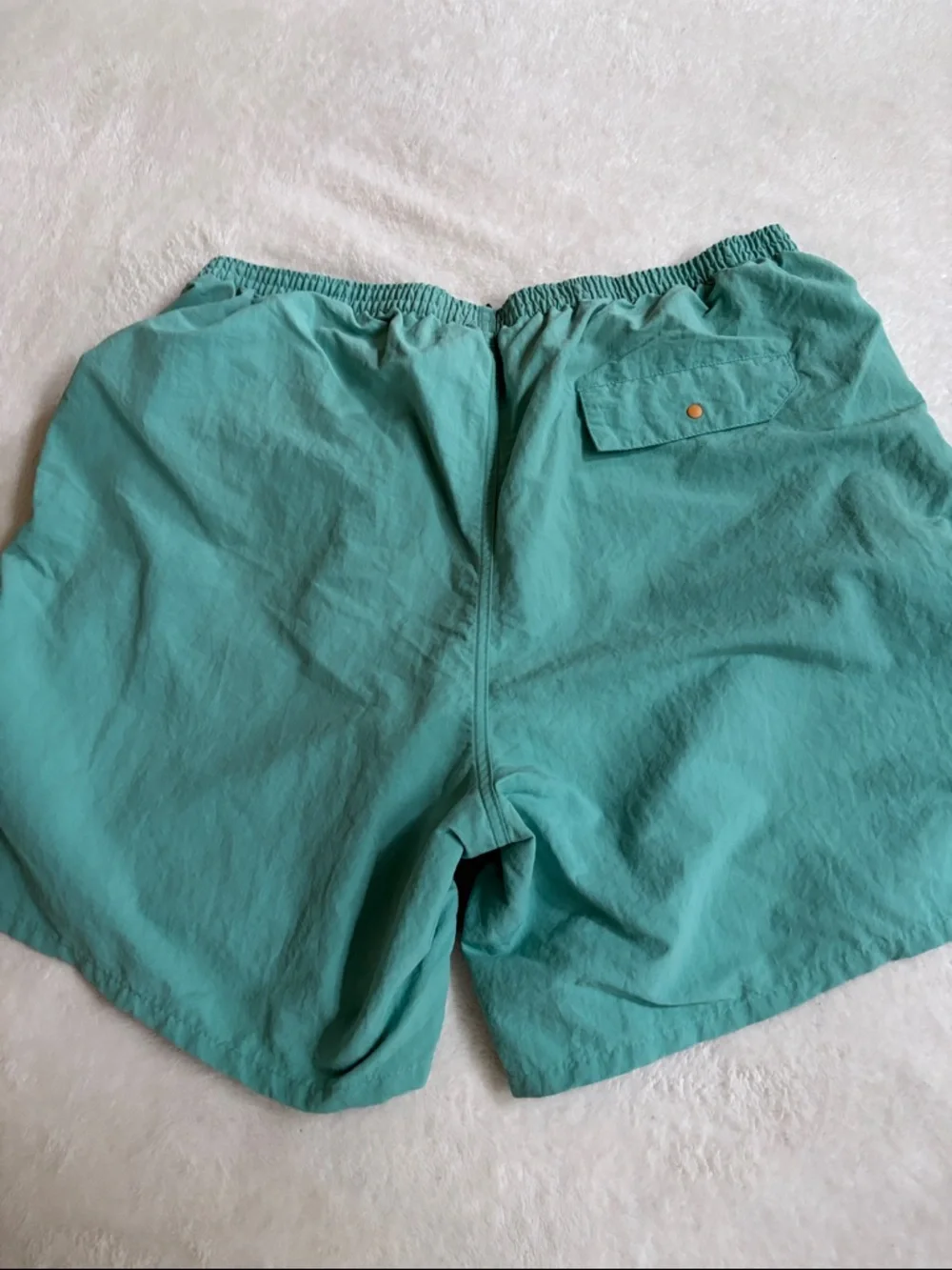 Patagonia Teal Green Lightweight Unlined Shorts